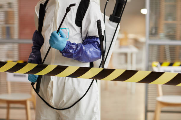 Professional Biohazard technician working in Lakeview, MI
